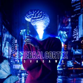Album cover of Her Cerebral Cortex (Radio)