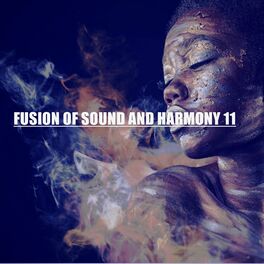 Album cover of FUSION OF SOUND AND HARMONY 11