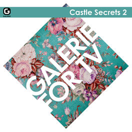 Album cover of Galerie for TV - Castle Secrets 2