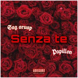 Album cover of Senza Te (feat. Papillon)