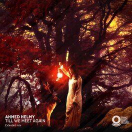 Album cover of Till We Meet Again