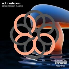Album cover of Not Mushroom