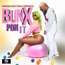Album cover of Bunx Pon It