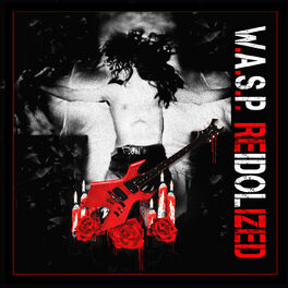 Album cover of Re-Idolized