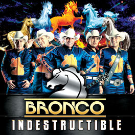 Album cover of Indestructible