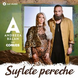 Album cover of Suflete pereche