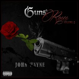 Album cover of Guns and Roses, Vol. 2