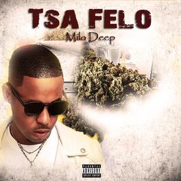 Album cover of Tsa felo (feat. Felo le tee)