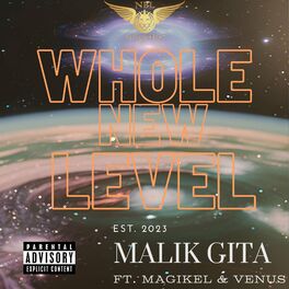 Album cover of Whole New Level