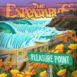Album cover of Pleasure Point