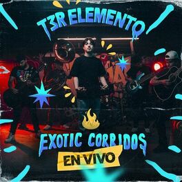 Album cover of Exotic Corridos - En Vivo