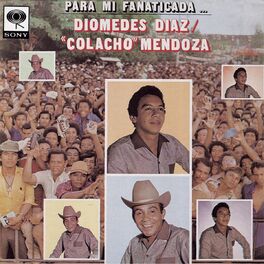 Album cover of Para Mi Fanaticada