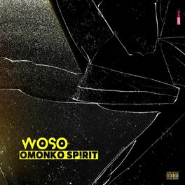 Album cover of Woso