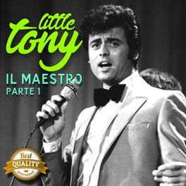 Album cover of Il Maestro, Pt.1 (Best Quality Guaranteed)
