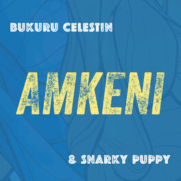 Album cover of Amkeni