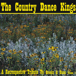 Album cover of A Retrospective Tribute to Brooks & Dunn, Vol. 1