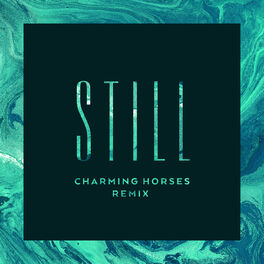 Album cover of Still (Charming Horses Remix)