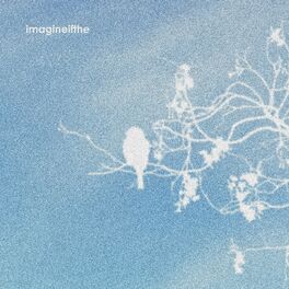 Album cover of imagineifthe