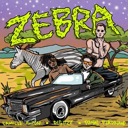 Album cover of Zebra (Summer Mix)