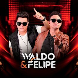 Album cover of Waldo e Felipe