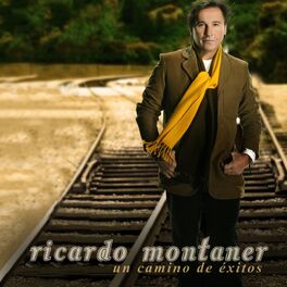 Album cover of Un Camino De Exitos