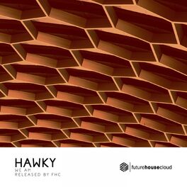 Album cover of Hawky