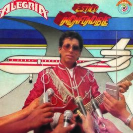 Album cover of Estilo Inconfundible