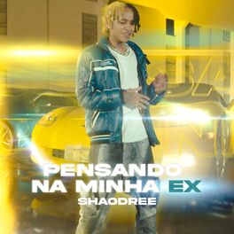 Album cover of Pensando Na Minha Ex