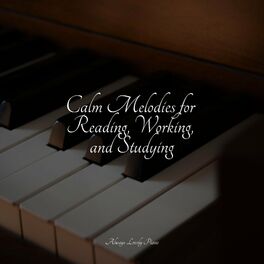 Album cover of Calm Melodies for Reading, Working, and Studying