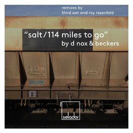 Album cover of Salt
