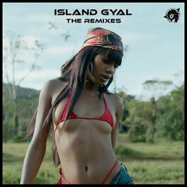 Album cover of Island Gyal The Remixes