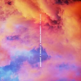 Album cover of The Rising