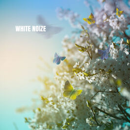 Album cover of White Noize