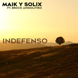 Album cover of Indefenso