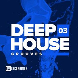 Album picture of Deep House Grooves, Vol. 03
