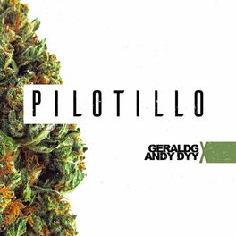 Album cover of Pilotillo