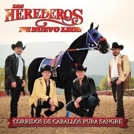 Album cover of Corridos de Caballos Pura Sangre