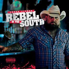 Album cover of Rebel in the South