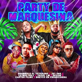 Album cover of Party De Marquesina