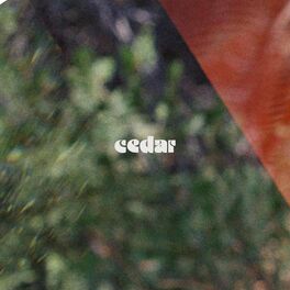 Album cover of cedar