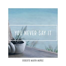 Album cover of You Never Say It