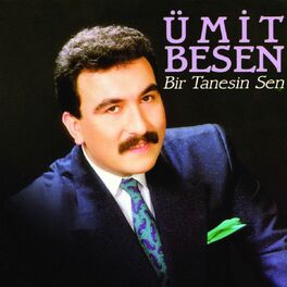 Album cover of Bir Tanesin Sen - Alışamadım