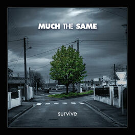 Album cover of Survive