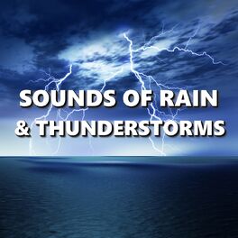Album cover of Sounds of Rain & Thunderstorms