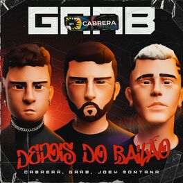 Album cover of Depois do Bailão