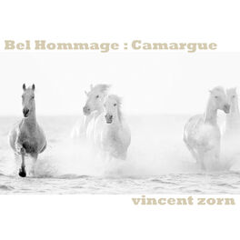 Album cover of Bel Hommage : Camargue