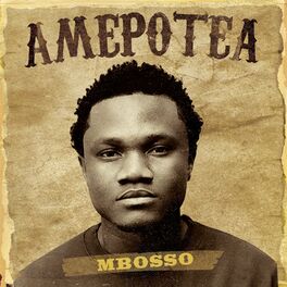 Album cover of Amepotea