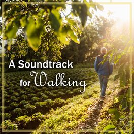Album cover of A Soundtrack for Walking: Debussy