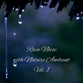 Album cover of Rain Noise with Nature Ambient Vol. 1