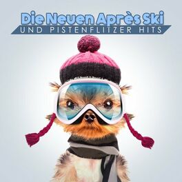 Album cover of Die neuen Après Ski und Pistenflitzer Hits